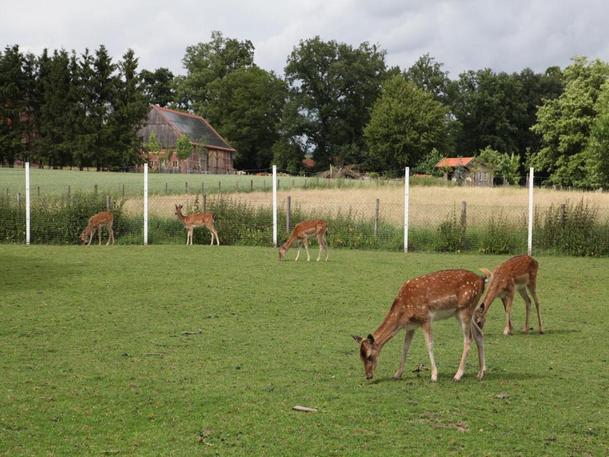 Gaeste Und Ferienhof Maas Dülmen Exteriér fotografie